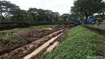 Penyumbang Banjir Cipulir, Lumpur di Sungai Pesanggrahan Dikeruk