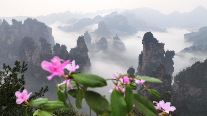ZHANGJIAJIE, CHINA - APRIL 09: In an aerial view, mist and clouds shroud 326-meter-tall Bailong Elevator at Zhangjiajie National Forest Park after a rainfall on April 9, 2026 in Zhangjiajie, Hunan Province of China. (Photo by Deng Daoli/VCG via Getty Images)