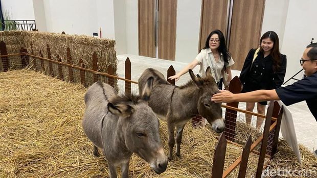 Pet Adventure Wonderland (PAW) Expo 2026 di NICE PIK 2