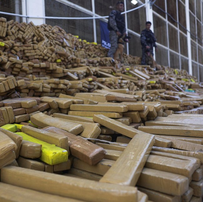 Polisi Berhasil Sita 48 Ton Ganja