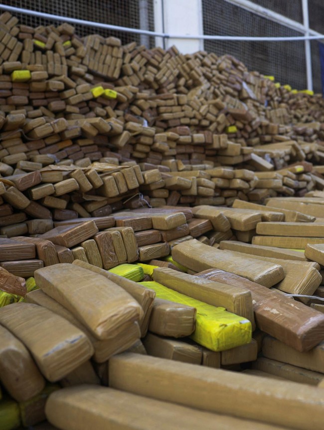 Polisi Berhasil Sita 48 Ton Ganja