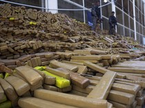 Polisi Berhasil Sita 48 Ton Ganja