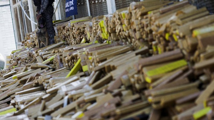 Military police officers with sniffer dogs guard about 48 tonnes of marijuana seized in the Mare favela complex, police said, in Rio de Janeiro, Brazil, April 8, 2026. REUTERS/Ricardo Moraes