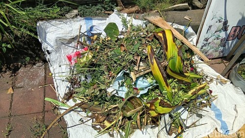 Sampah organik yang sedang dijemur milik Sila Florist di Jalan Hayam Wuruk, Denpasar. Kamis (9/4/2026).