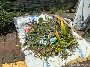 Larangan Sampah Organik Bikin Pedagang Bunga Denpasar Kewalahan