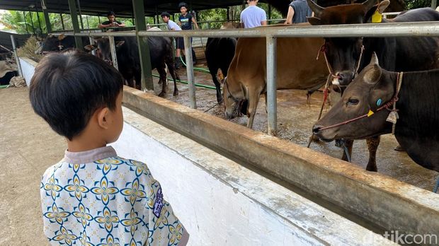 Sate domba Bootcamp Fapet Unpad yang menggugah selera Sate domba Bootcamp Fapet Unpad yang menggugah selera