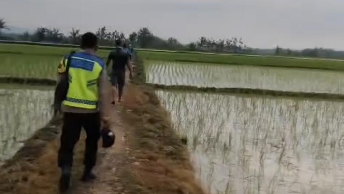 Seorang wanita lanjut usia (lansia) tersambar petir di area persawahan Desa Karangwader, Kecamatan Penawangan, Kabupaten Grobogan sore tadi.