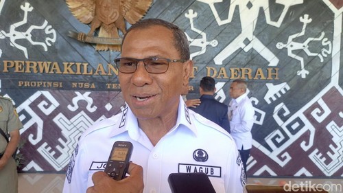 Wakil Gubernur NTT Johni Asadoma. (Foto: Simon Selly/detikBali)