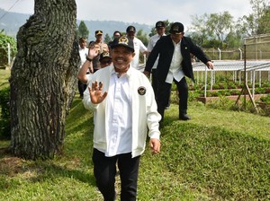Johan Rosihan Minta Setop Impor Bawang Putih: Kita Pernah Swasembada