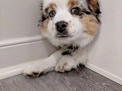 Foto Tanpa Edit Ini Bikin Mata Terkecoh, Berani Buktikan?