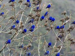 Foto Tanpa Edit Ini Bikin Mata Terkecoh, Berani Buktikan?