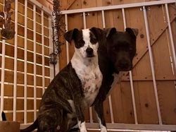 Foto Tanpa Edit Ini Bikin Mata Terkecoh, Berani Buktikan?