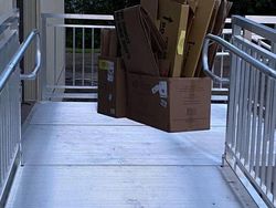 Foto Tanpa Edit Ini Bikin Mata Terkecoh, Berani Buktikan?