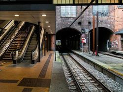 Foto Tanpa Edit Ini Bikin Mata Terkecoh, Berani Buktikan?