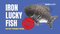 Infografis: Ikan Besi 'Penangkal' Anemia, Benarkah Efektif?