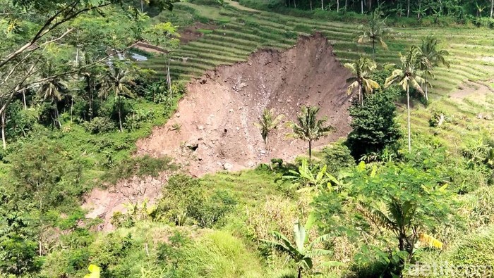 Penampakan lahan persawahan di Dusun Citran, Desa Ngepanrejo, Kecamatan Bandongan, Kabupaten Magelang yang longsor, Jumat (10/4/2026).