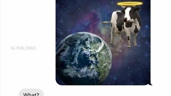 Bapack-bapack. Foto: laughs via Bored Panda  