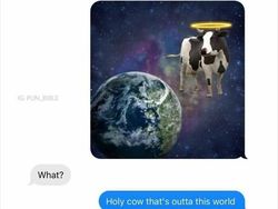 Meme Gaje dan Random, Lumayan Buat yang Gabut