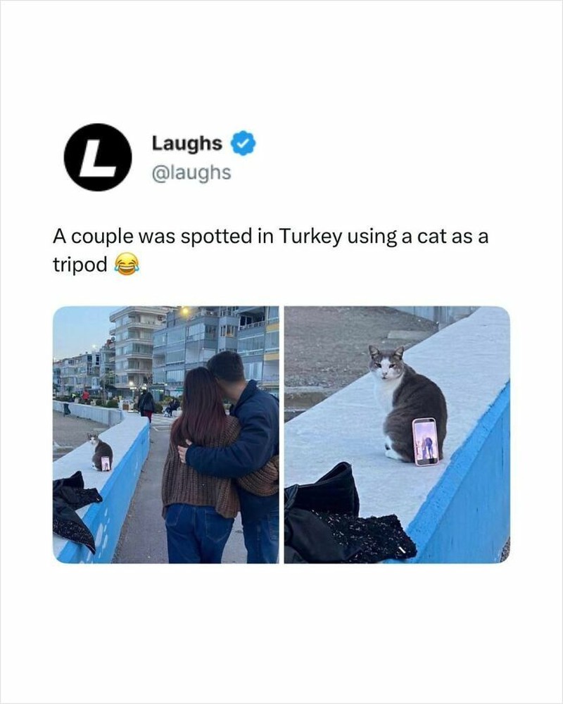 Kalau lagi gabut dan butuh hiburan santuy, lihat ada deretan meme berikut ini. Nggak jelas tapi lumayan menghibur.