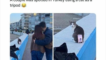 Bener-bener hooman. Foto: laughs via Bored Panda  