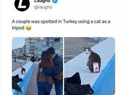 Meme Gaje dan Random, Lumayan Buat yang Gabut