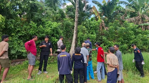 Polisi melakukan olah TKP warga tewas akibat terjatuh dari pohon kelapa di Banjar Pucaksari, Desa Warnasari, Kecamatan Melaya, Jembrana, Jumat (10/4/2026). (Dok. Polres Jembrana)