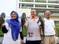 Ikan Sapu-sapu Dimakan di Amazon, Tapi Jangan Coba di Indonesia