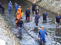 Pramono Bakal Perluas Penangkapan Ikan Sapu-sapu di Sungai Jakarta
