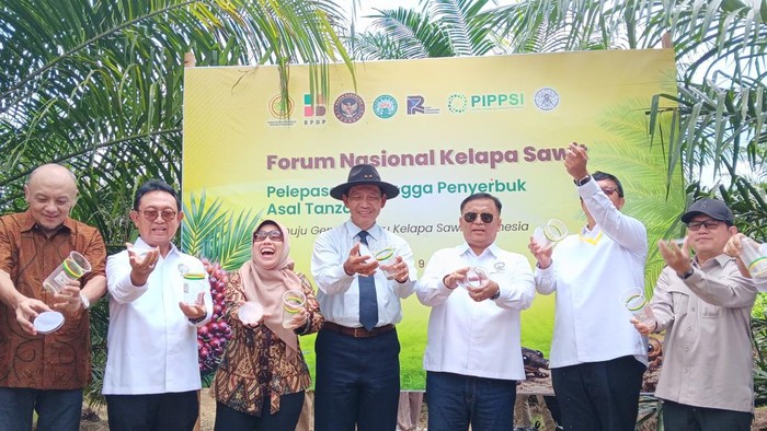 Serangga penyerbuk asal Tanzania resmi dikenalkan di Pusat Penelitian Kelapa Sawit (PPKS) Unit Marihat, Simalungun, Sumatera Utara.