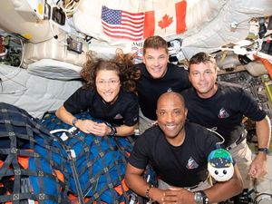 Viral Astronot Artemis II Belajar Jalan, Apa yang Terjadi Kalau Kelamaan di Luar Angkasa?