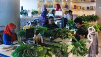 Sekitar 50 persen ASN menjalankan tugas dari rumah, sementara layanan publik tetap berjalan normal di berbagai sektor.