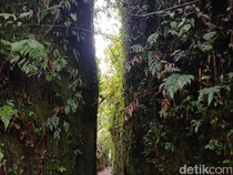 Mengenal Wisata Batu Belah di Kawasan Perkemahan Sibolangit