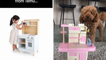 Dari semua sisi berbeda semua, bentuk hingga warnanya. Foto: Bored Panda