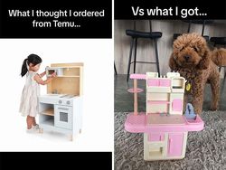 Apa yang Dipesan vs Apa yang Diterima: Realita Belanja Online