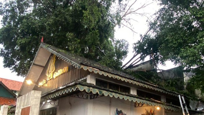Dahan pohon tumbanb menimpa atap toko di Gondomanan, Kota Jogja, Sabtu (11/4/2026).