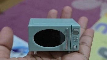 Pesan microwave di Temu, yang datang malah versi mini seukuran telapak tangan. Ekspektasi langsung ambyar! Foto: Boredpanda