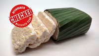 Riset Ungkap Manfaat Tempe bagi Otak, 'Superfood' Penangkal Alzheimer?