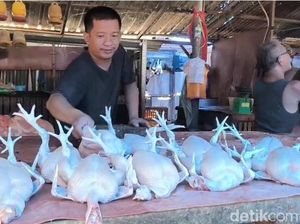 Harga Ayam di Pasar Parepare Melonjak Tajam Diduga Dipicu Program MBG