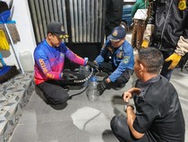 Momen Berbahaya Ular Weling Nyaris Masuk Rumah Warga Kuningan