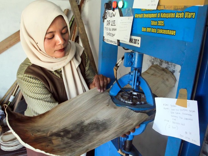 Pekerja mengeringkan piring berbahan dasar pelepah pohon pinang usai proses pencetakan dengan mesin di Desa Sawang, Kecamatan Sawang, Aceh Utara, Aceh, Sabtu (11/4/2026). Inovasi pembuatan piring pelepah pinang binaan Badan Narkotika Nasional (BNN) guna meningkatkan nilai ekonomi limbah dan memberdayakan ekonomi masyarakat tersebut telah menembus pasar Papua, Pulau Jawa dan pasar lokal Aceh dengan harga Rp30 ribu per lusin. ANTARA FOTO/Rahmad/wsj.