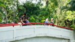 Akhir Pekan di Taman Spathodea, Warga Nikmati Ruang Terbuka Hijau