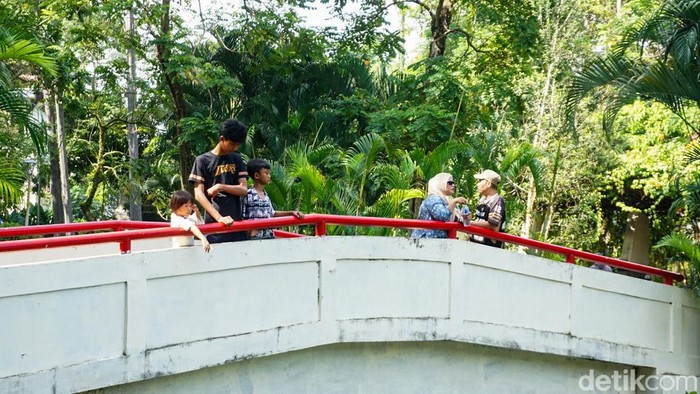 Sejumlah warga menikmati akhir pekan di Taman Spathodea, Jagakarsa, Jakarta Selatan, Sabtu (11/4/2026). Ruang Terbuka Hijau (RTH) seluas 2,3 hektare ini menjadi salah satu pilihan warga untuk beraktivitas dan bersantai.