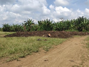 Pemkab Badung Siapkan Tempat Penampung Bahan Baku Kompos di Sejumlah Titik
