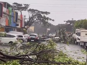 Bekasi Dilanda Cuaca Ekstrem Sore Tadi, Hujan Es hingga Pohon Tumbang