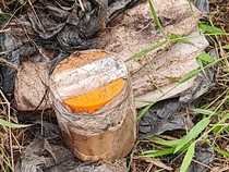 Misteri 3 Potongan Jari dalam Toples dengan Air Keras di Samarinda