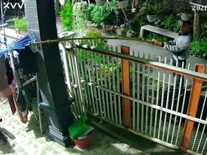 Maling Celana Dalam Wanita di Lamongan Modus Cari Cicak Diburu