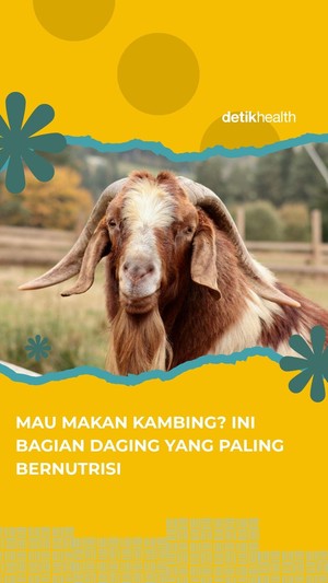 Video Mau Makan Kambing? Ini Bagian Daging yang Paling Bernutrisi