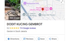 Viral Titik Dodit Kucing Gembrot di Google Maps, Ini Alamat Persisnya