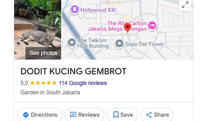 Dodit Kucing Gembrot di Mega Kuningan Barat, Jakarta Selatan.