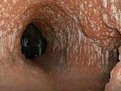 Foto Ini Terlihat Biasa, Tapi Faktanya Bikin Kaget dan Merinding